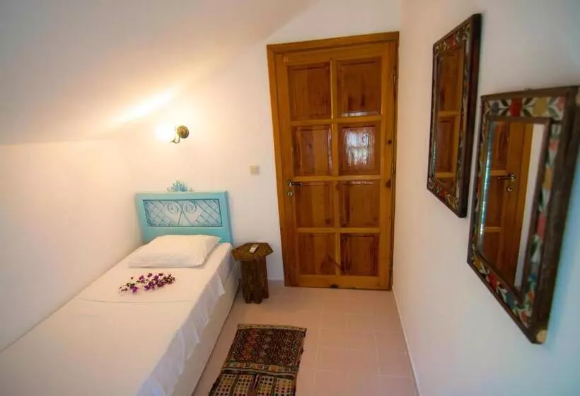 Suite, Begonvil