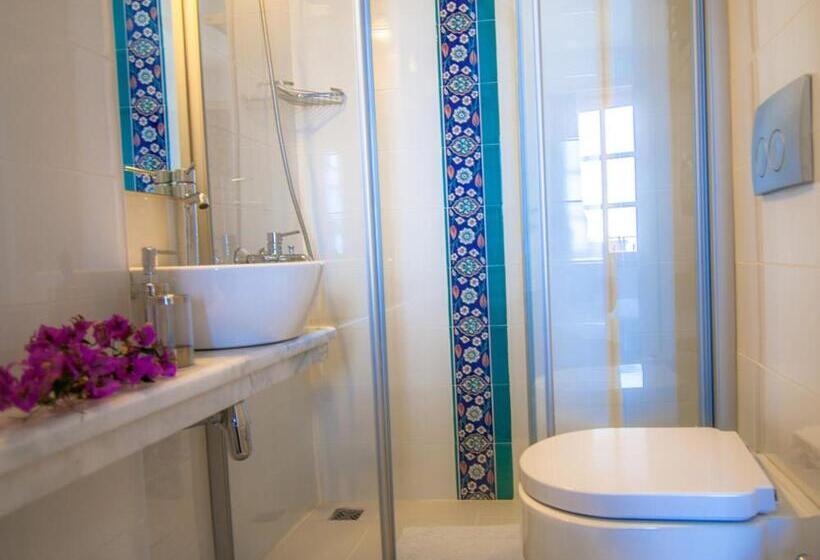 Standardzimmer mit Balkon, Begonvil