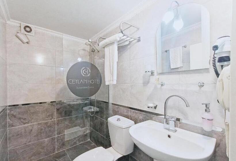 اتاق استاندارد یک نفره, Ceylan