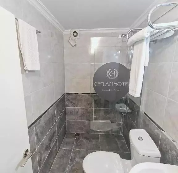Habitación Estándar, Ceylan