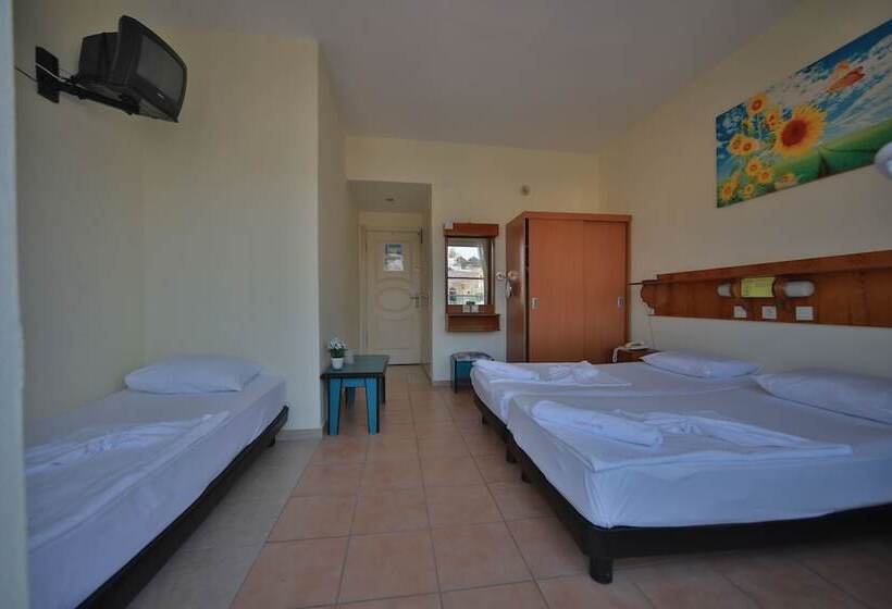 스탠다드 트리플 룸, Gallion