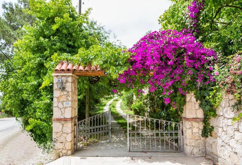 ویلای 4 خوابه, Kleo Cottages