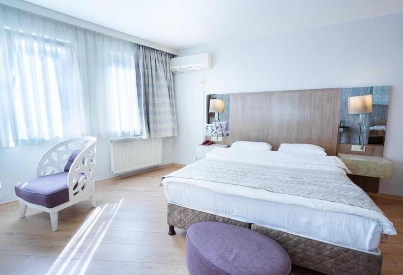 اتاق اکونومی, Libiza