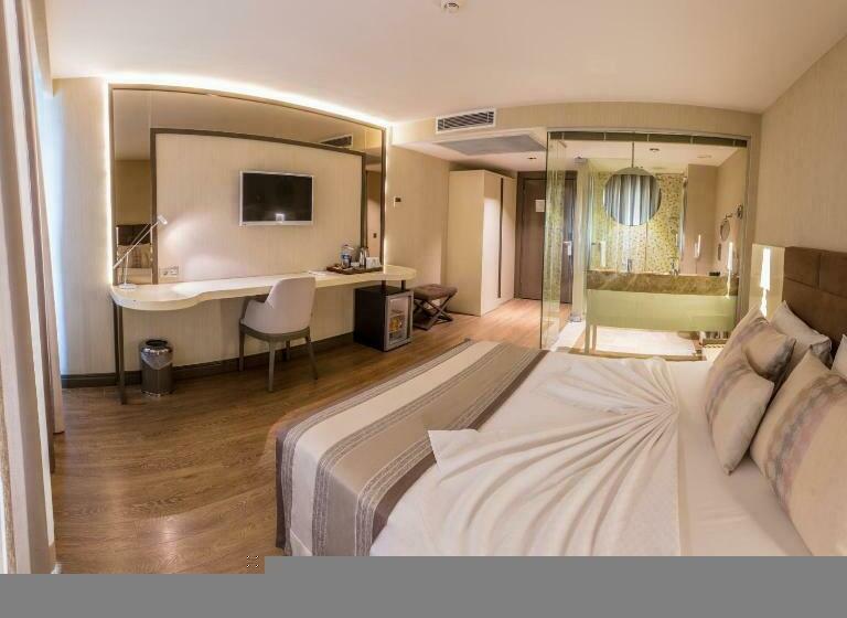 デラックスルーム, Sinema Hotel Ordu