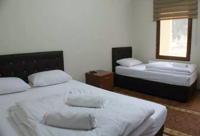 اتاق استاندارد سه نفره, Uzungol Soylu
