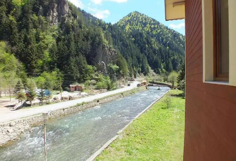 اتاق استاندارد سه نفره, Uzungol Soylu