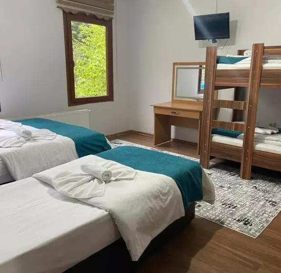 1 Bedroom Apartment River View, Uzungol Soylu