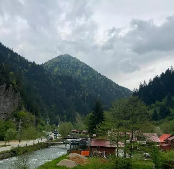 اتاق راحتی سه تخته, Uzungol Soylu