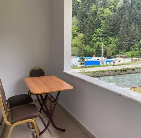 اتاق استاندارد سه نفره, Uzungol Soylu
