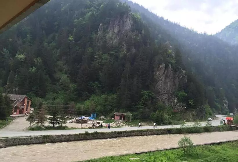 1 Bedroom Apartment River View, Uzungol Soylu