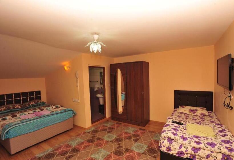 חדר סטנדרט נוף להרים, Cam Hotel & Restaurant 2