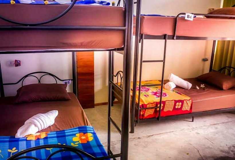 共用房间的床, Infinity Beach Club Resort & Hostel Koh Phangan