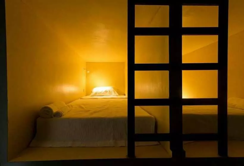 ルームシェアのワンベッド, Betta Hostel