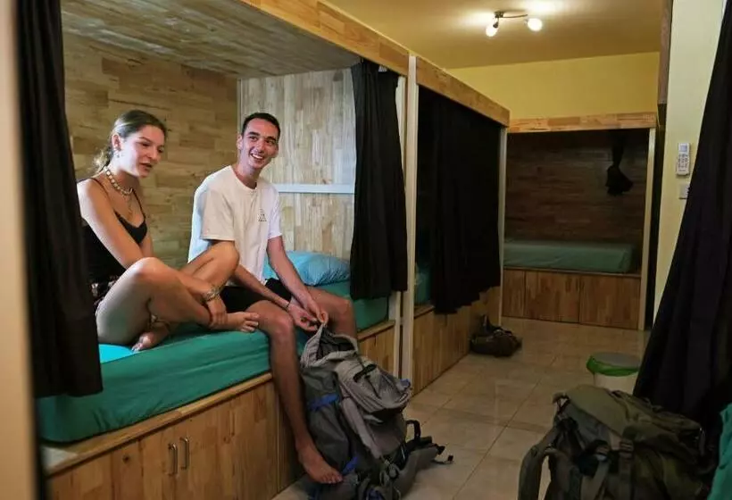 ルームシェアのワンベッド, Coco Khao Sok Hostel