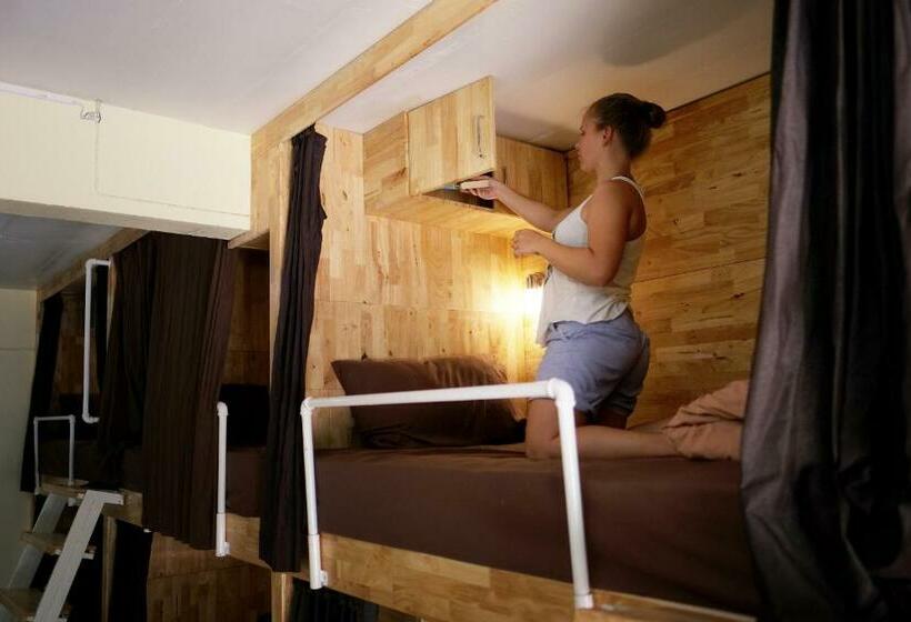 共用房间的床, Coco Khao Sok Hostel