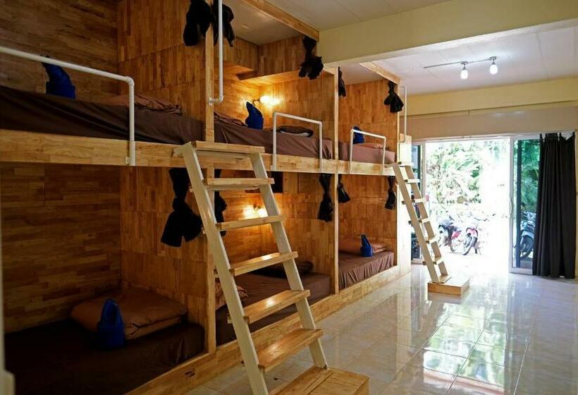 共用房间的床, Coco Khao Sok Hostel