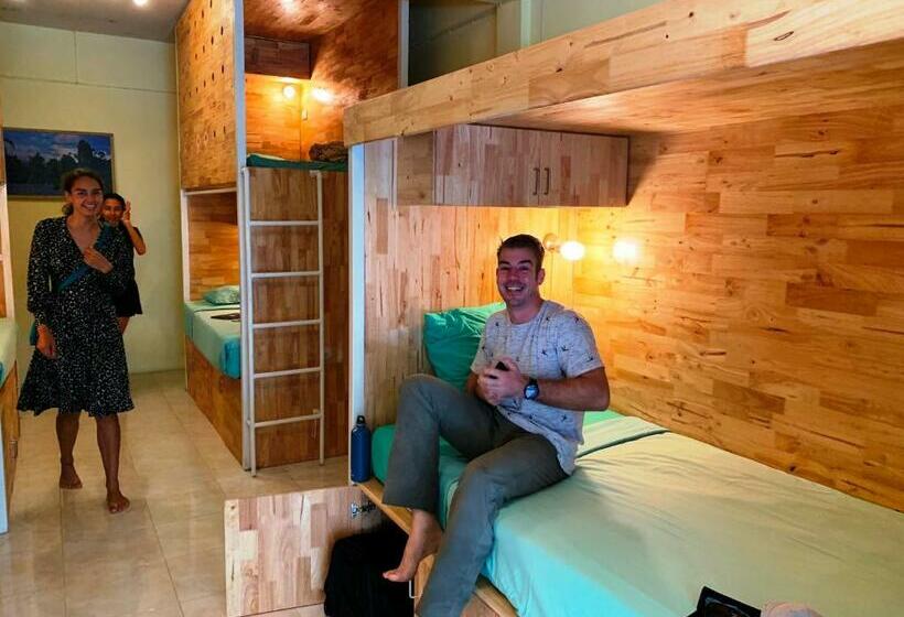 共用房间的床, Coco Khao Sok Hostel