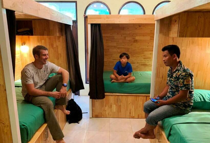 共用房间的床, Coco Khao Sok Hostel