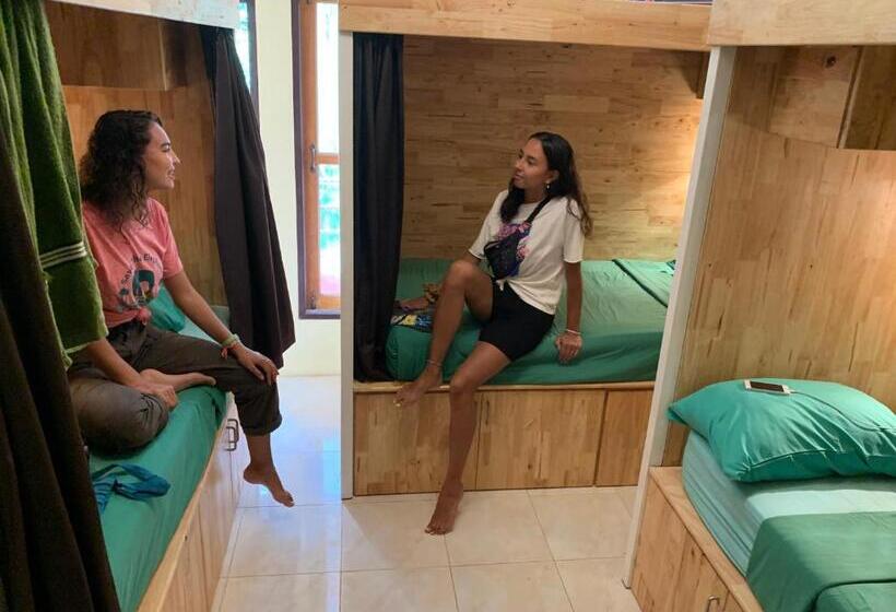 共用房间的床, Coco Khao Sok Hostel