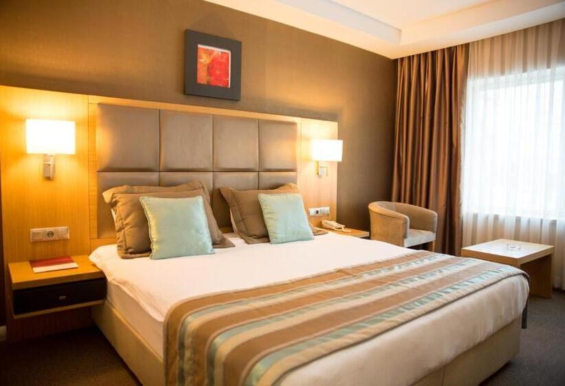 스탠다드 룸, Efeler