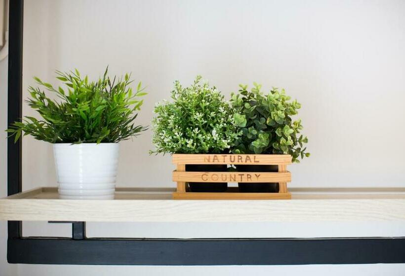 חדר סופריור, Snoozz Hotel Krabi