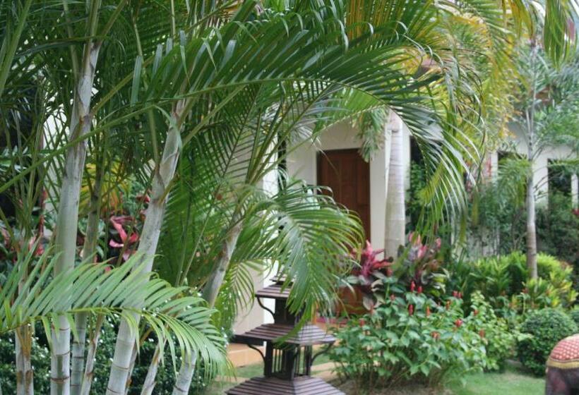 غرفة ديلوكس مزودة بتراس, Villa Angelica Bed And Breakfast In Phuket