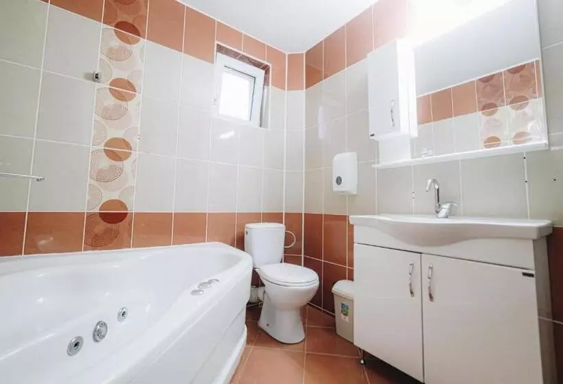 آپارتمان 1 خوابه با تراس, Garni Hotel Radović