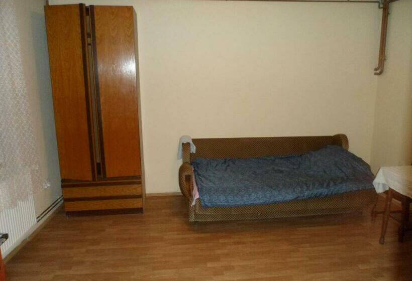 اتاق استاندارد با سرویس بهداشتی مشترک, Hostel Olimpik