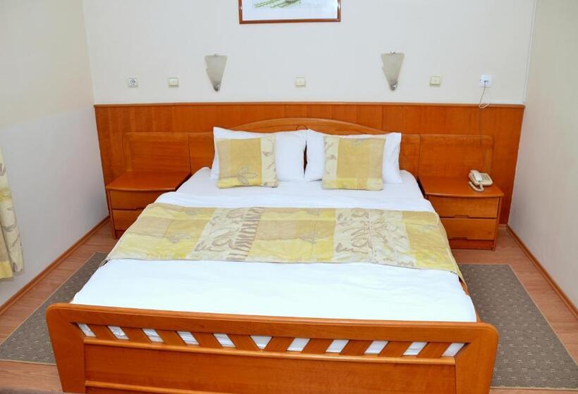 اتاق استاندارد, Garni Hotel Lake