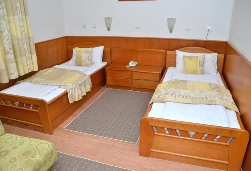 اتاق استاندارد, Garni Hotel Lake