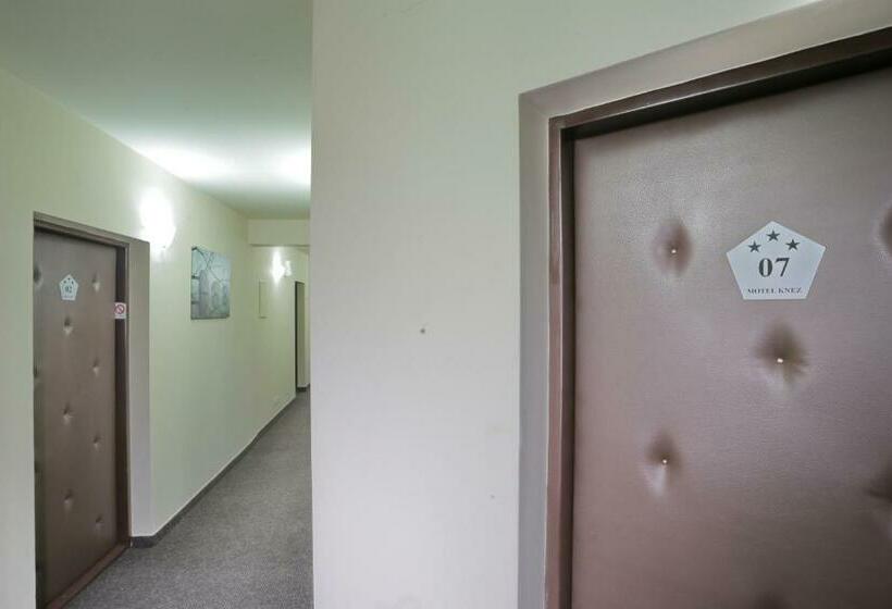 اتاق استاندارد, Motel Knez