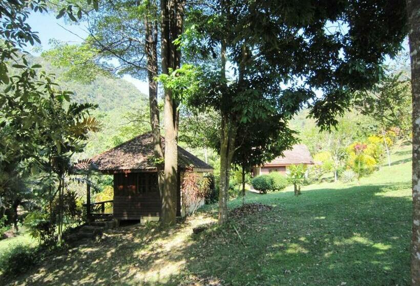 스탠다드 방갈로 침실 2개, Phanom Bencha Mountain Resort