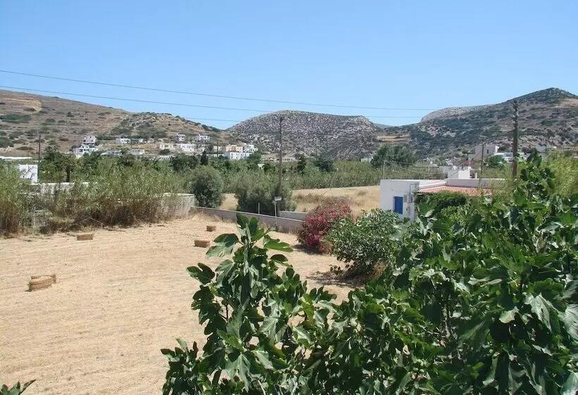 اتاق سوپریور با چشم‌انداز کوهستان, Evi Evan