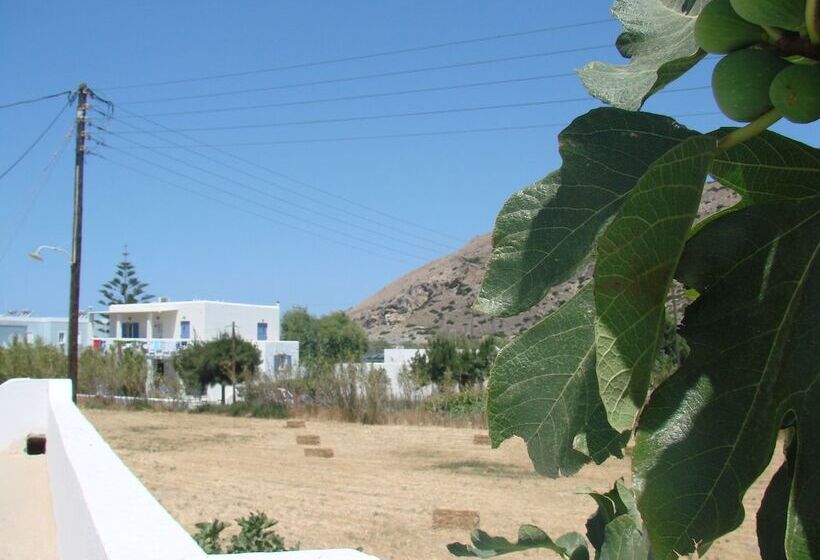 اتاق سوپریور با چشمانداز کوهستان, Evi Evan