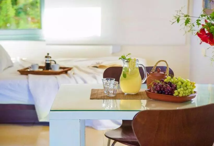 استودیوی استاندارد با چشم‌انداز دریا, Nereids Apartments