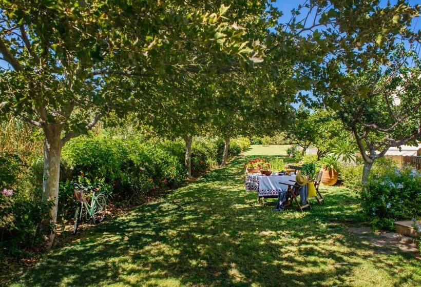 家族用アパートメント, Nereids Apartments