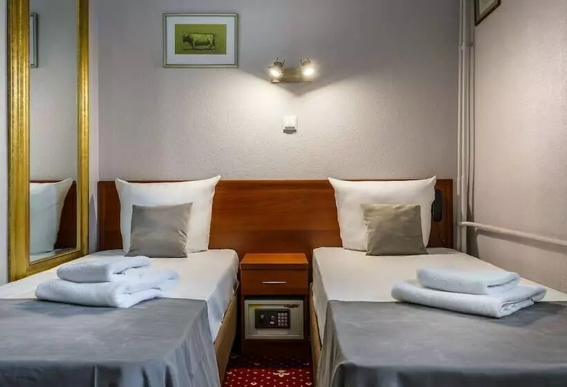 اتاق استاندارد, Mayak Hotel