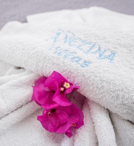 수피리어 룸, Anezina Villas