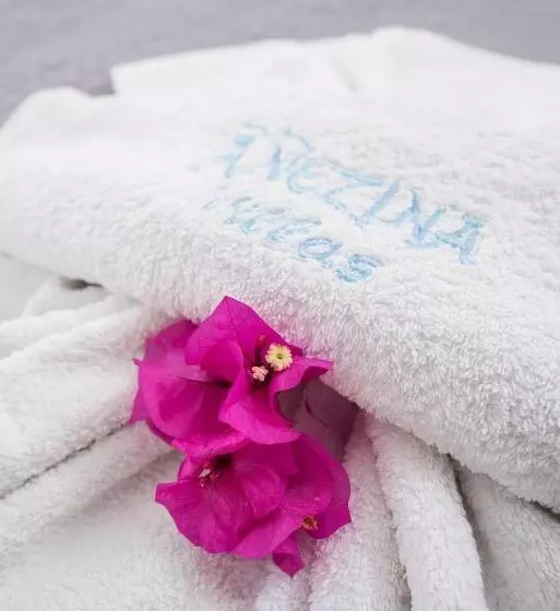スーペリアールーム, Anezina Villas