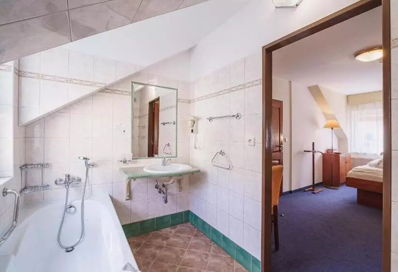 اتاق سوپریور, Francis Spa