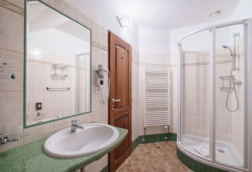 اتاق استاندارد یک نفره, Francis Spa