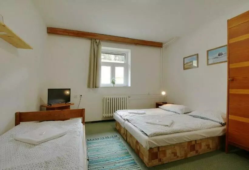 スタンダードトリプルルーム, Horský Hotel žižkova Bouda