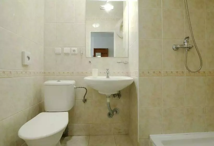 スタンダードトリプルルーム, Horský Hotel žižkova Bouda