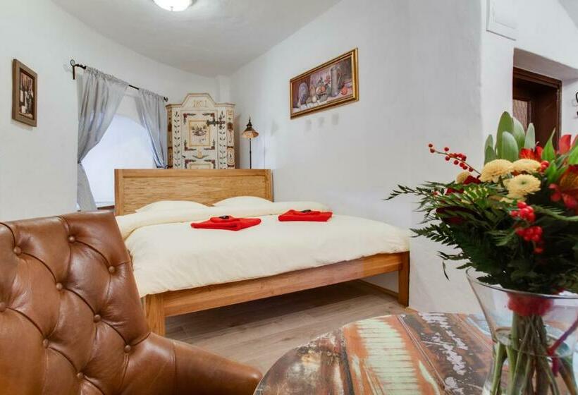 اتاق استاندارد با تخت بزرگ, Krumlov Tower