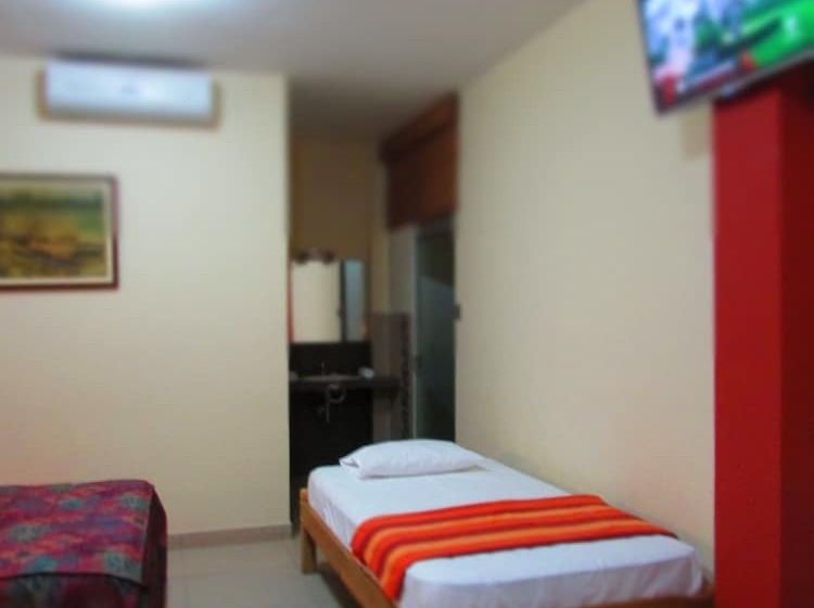 스탠다드 트리플 룸, Palau Amazonas