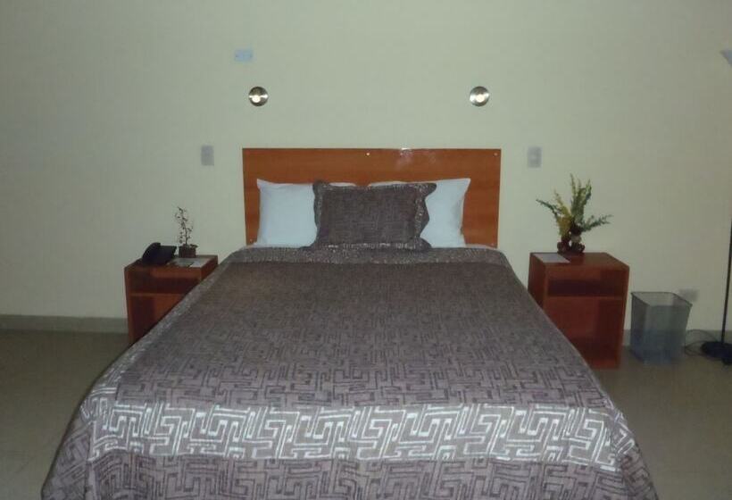 이코노미 룸, Palau Amazonas