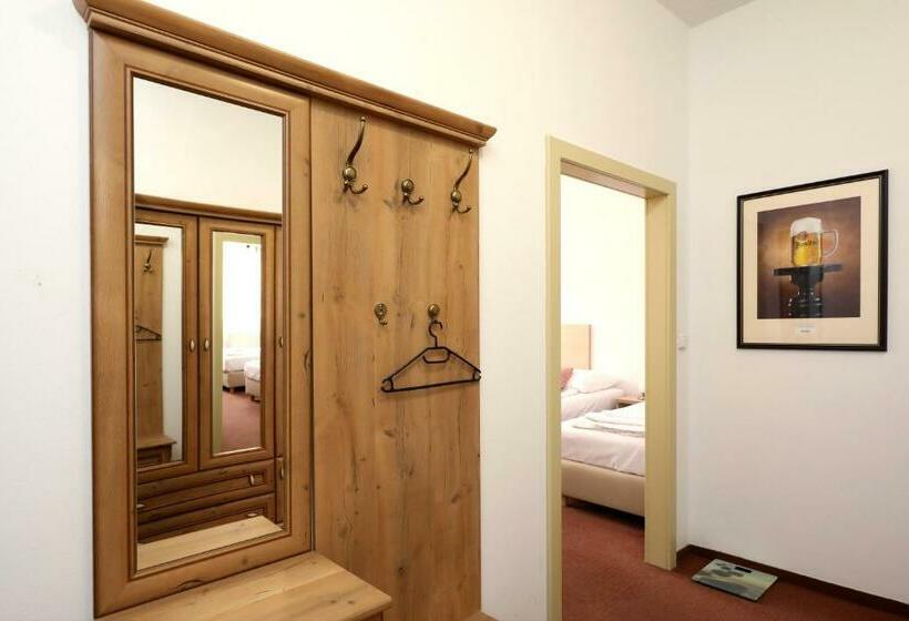 Номер Стандарт Трехместный, Pension U Tří Sedláků