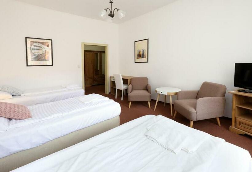 Номер Стандарт Трехместный, Pension U Tří Sedláků