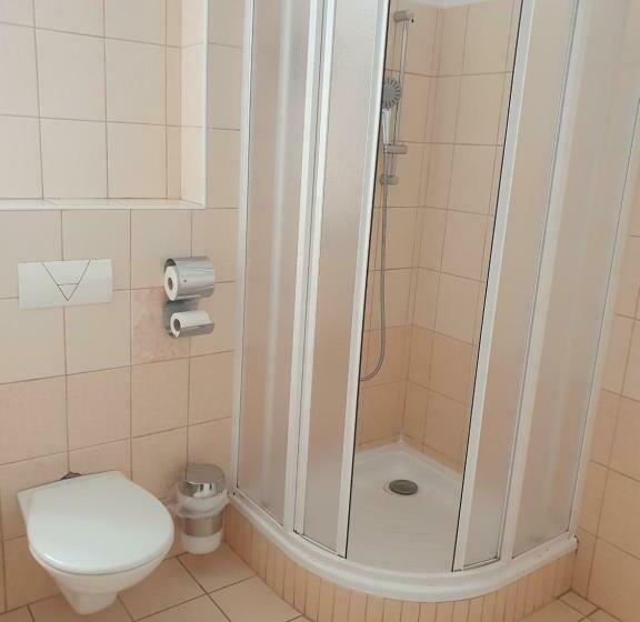 Номер Стандарт Трехместный, Pension U Tří Sedláků