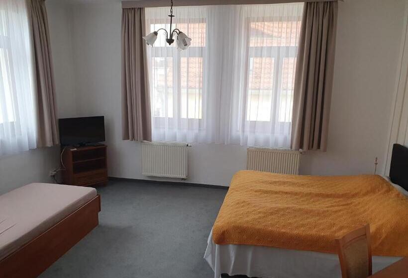 Номер Стандарт Трехместный, Pension U Tří Sedláků